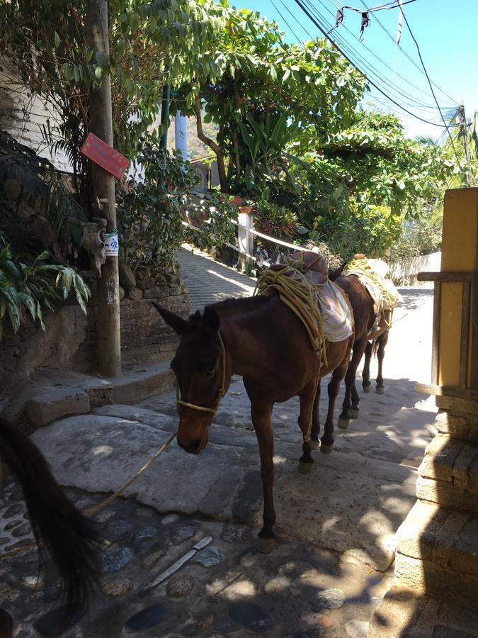 Casa Berita Βίλα Yelapa Εξωτερικό φωτογραφία